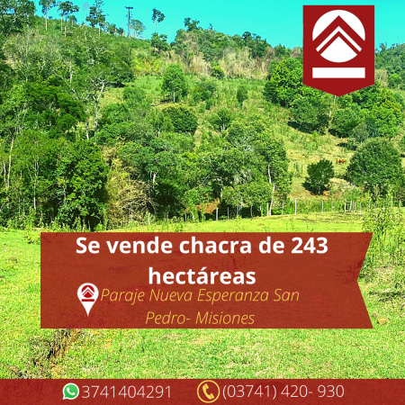 Se vende chacra de 243