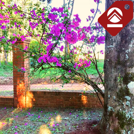 Se casa quinta