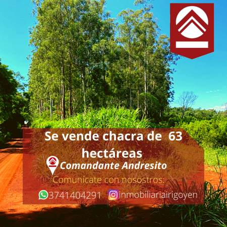 Chacra de 63 hectáreas 