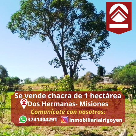 Se vende chacra de 1 hectárea 
