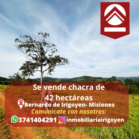 Se vende chacra de 42 hectáreas 