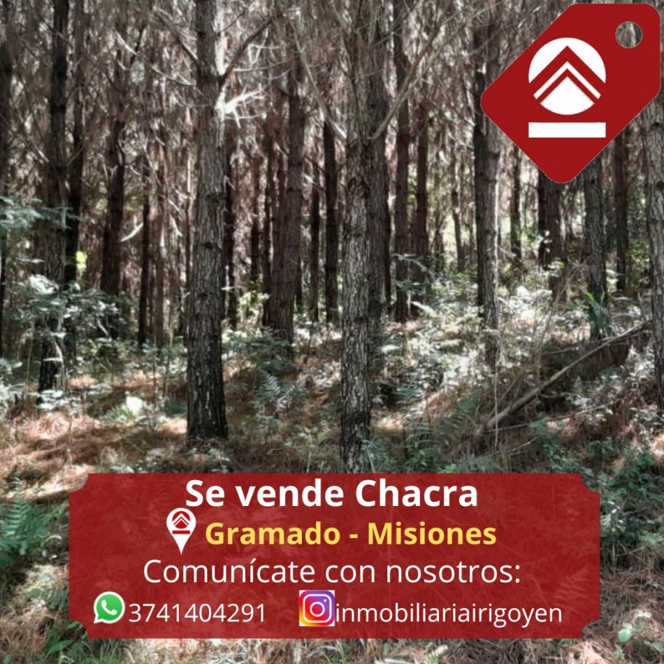 SE VENDE CHACRA