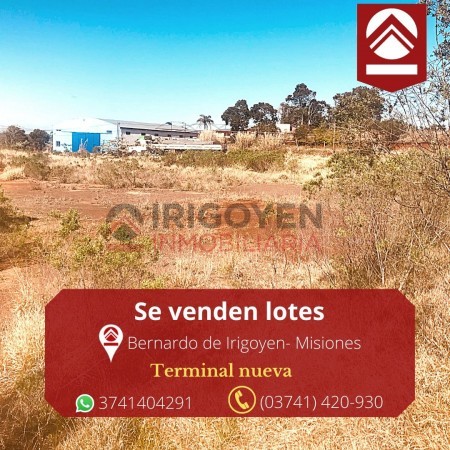 Lotes