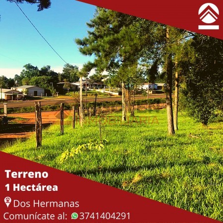 Terreno de 1 hectáreas